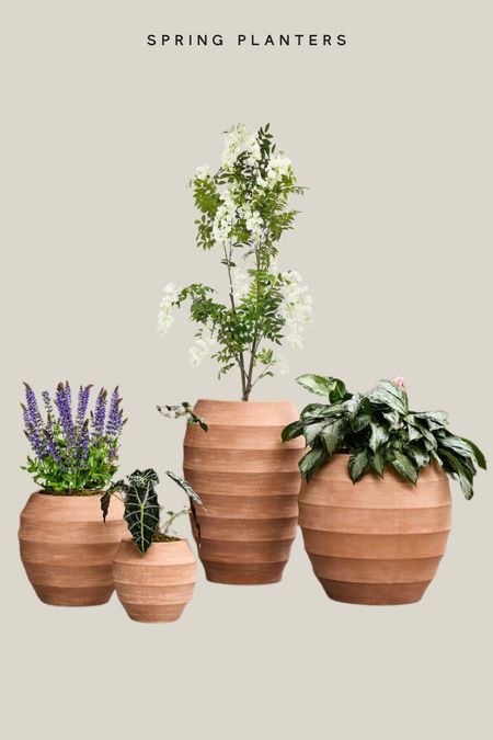 Love the warmth in these planters and pots for spring patios! 

#LTKSeasonal #LTKhome