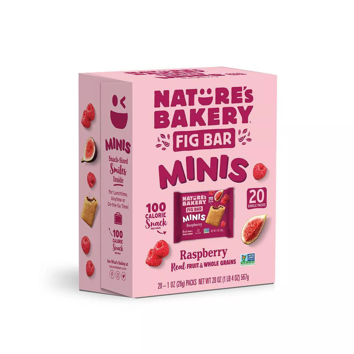 Nature's Bakery Raspberry Fig Bar MINIS - 20oz/20ct | Target