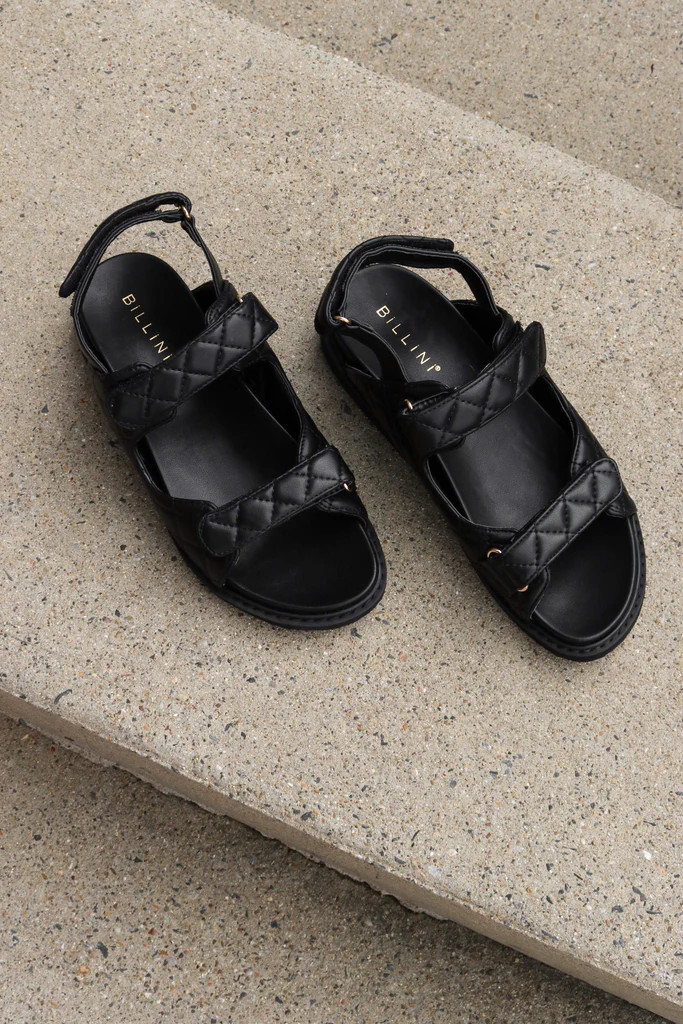 Zora Flat - Black | Petal & Pup (US)
