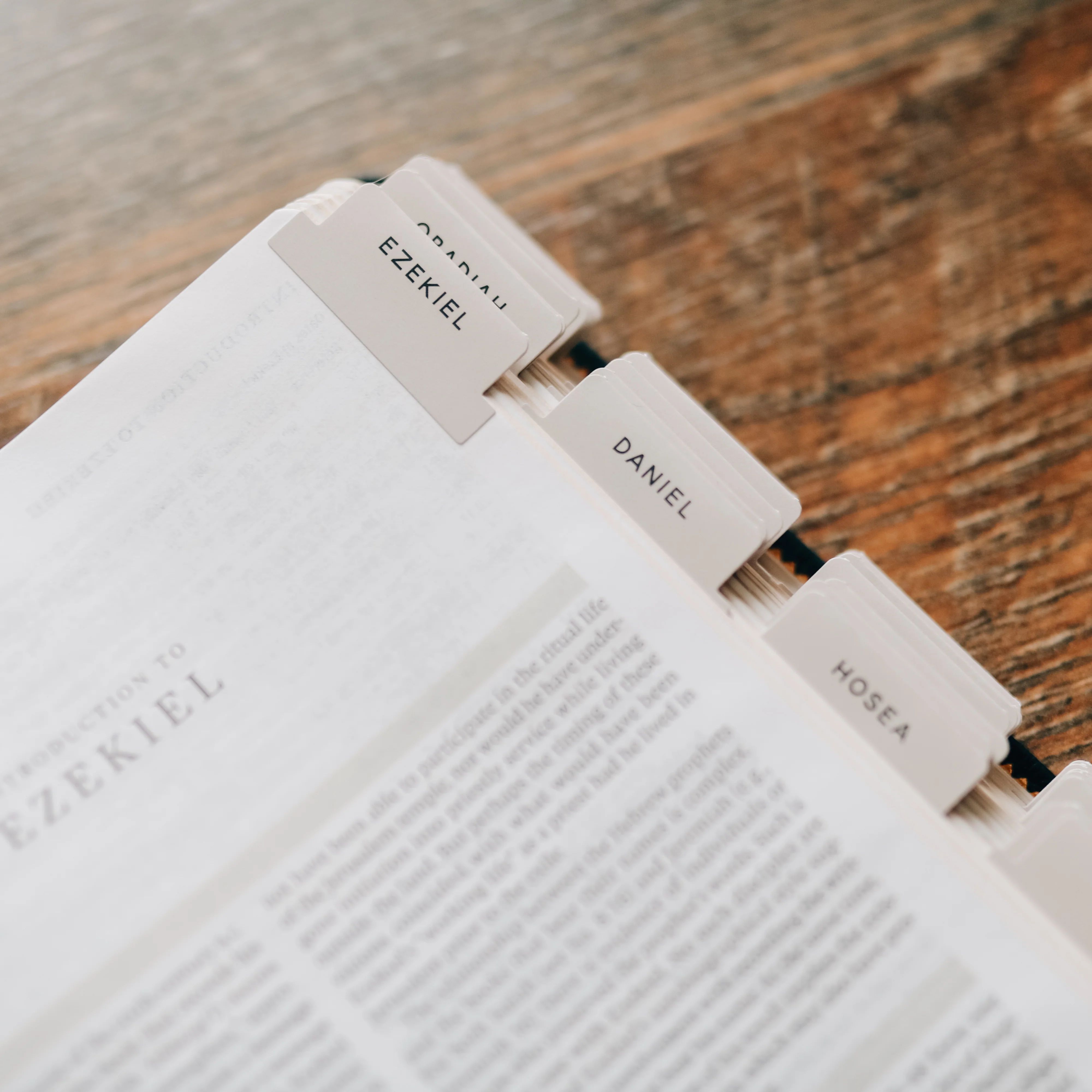 Neutral Bible Tabs | The Daily Grace Co.