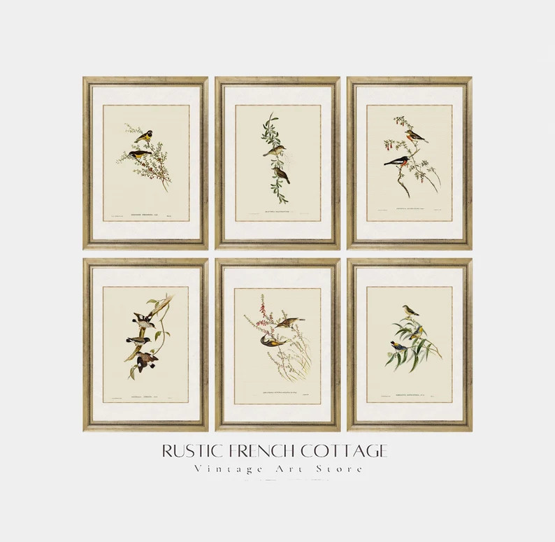 Vintage 6 Birds Set | Modern Farm Wall Art | Chic Cottage Decor | Downloadable | Home Decor Gift ... | Etsy (US)