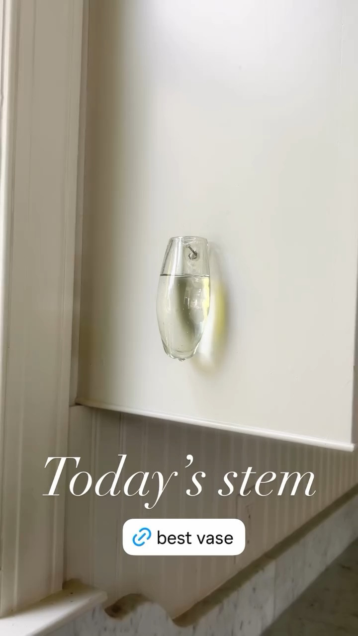 Simple kitchen decor and a perfect gift: the wall vase 

#LTKWedding #LTKHome #LTKSeasonal