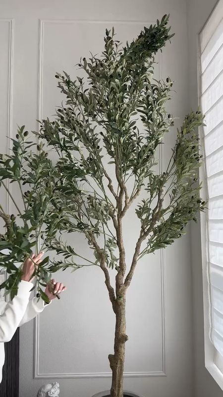 My new olive tree is tall, full, and a great price for the size! 

Amazon, Rug, Home, Console, Amazon Home, Amazon Find, Look for Less, Living Room, Bedroom, Dining, Kitchen, Modern, Restoration Hardware, Arhaus, Pottery Barn, Target, Style, Home Decor, Summer, Fall, New Arrivals, CB2, Anthropologie, Urban Outfitters, Inspo, Inspired, West Elm, Console, Coffee Table, Chair, Pendant, Light, Light fixture, Chandelier, Outdoor, Patio, Porch, Designer, Lookalike, Art, Rattan, Cane, Woven, Mirror, Luxury, Faux Plant, Tree, Frame, Nightstand, Throw, Shelving, Cabinet, End, Ottoman, Table, Moss, Bowl, Candle, Curtains, Drapes, Window, King, Queen, Dining Table, Barstools, Counter Stools, Charcuterie Board, Serving, Rustic, Bedding, Hosting, Vanity, Powder Bath, Lamp, Set, Bench, Ottoman, Faucet, Sofa, Sectional, Crate and Barrel, Neutral, Monochrome, Abstract, Print, Marble, Burl, Oak, Brass, Linen, Upholstered, Slipcover, Olive, Sale, Fluted, Velvet, Credenza, Sideboard, Buffet, Budget Friendly, Affordable, Texture, Vase, Boucle, Stool, Office, Canopy, Frame, Minimalist, MCM, Bedding, Duvet, Looks for Less

#LTKFind #LTKSeasonal #LTKhome