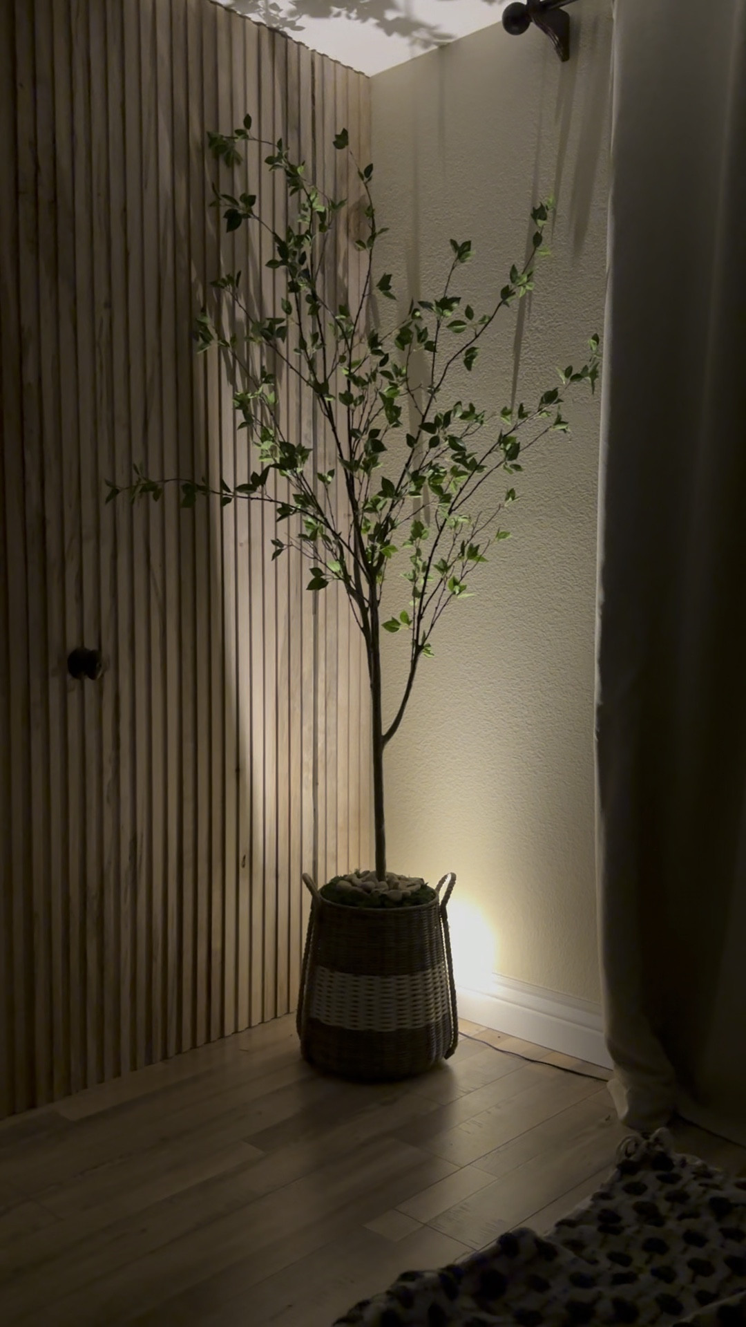 The best minimal citrus faux tree!

#LTKsalealert #LTKhome #LTKstyletip