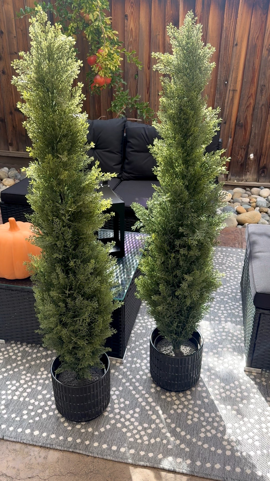 ✨ Flash Sale ✨ My favorite topiaries are marked down! Perfect to style for this season and beyond 🌿 My patio set is also marked down under $300! ⬇️

#LTKSaleAlert #LTKHome #LTKSeasonal
