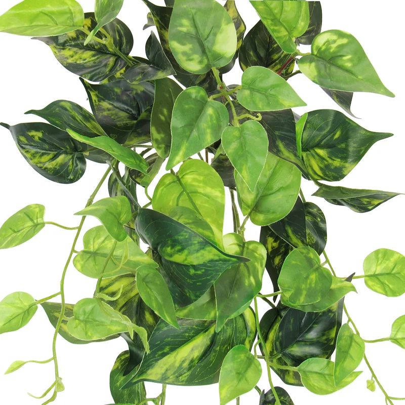 Artificial Pothos Ivy Hanging Plant | Wayfair North America