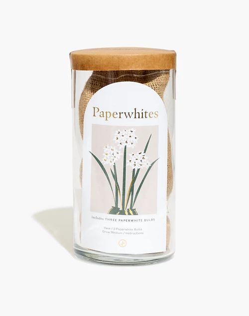 Modern Sprout® Bulb Growing Kit | Madewell