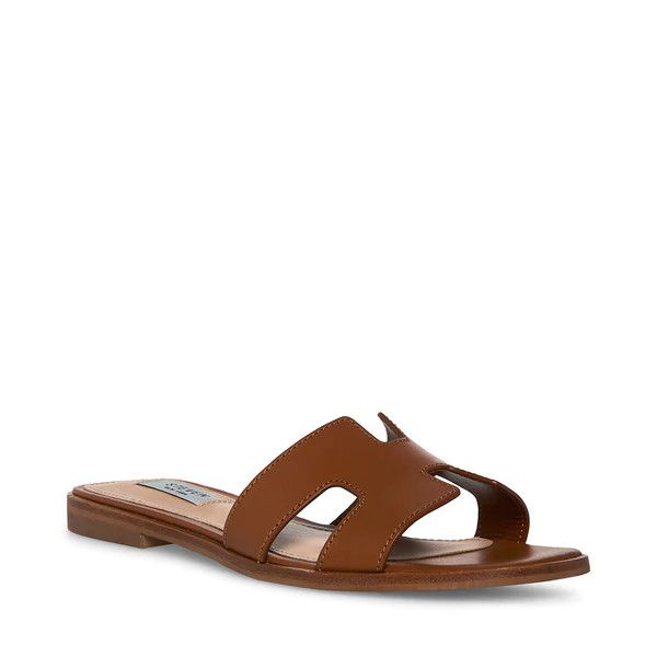 HADYN COGNAC LEATHER | Steve Madden (US)