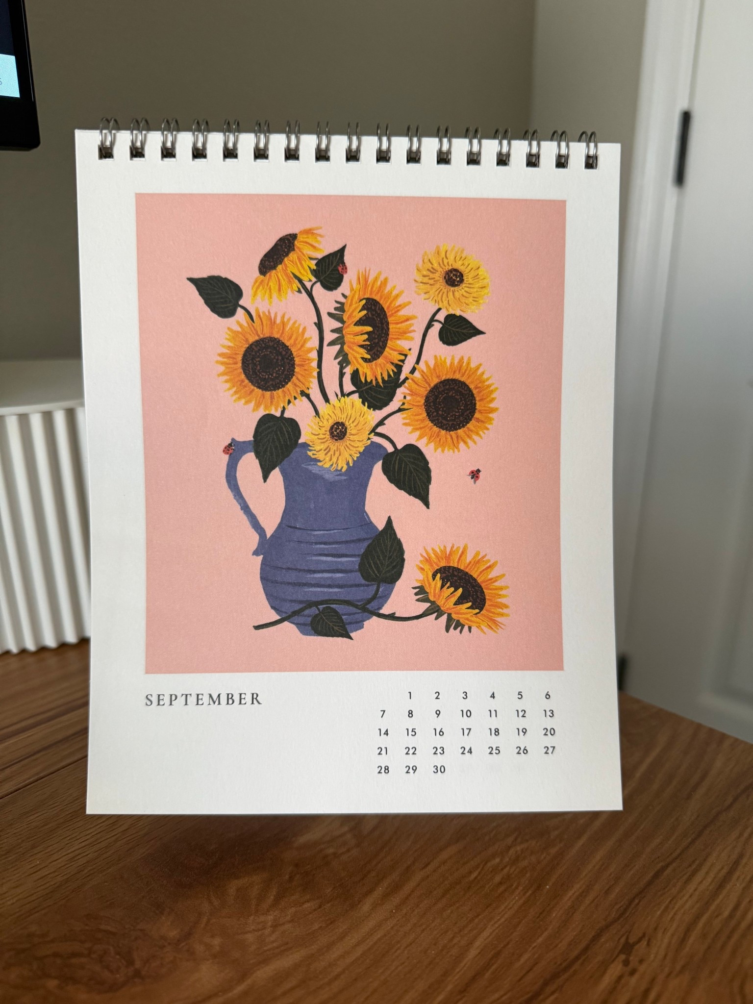 my favorite desk calendar that I buy every year. 

#calendar #deskcalendar #riflepaperco 

#LTKFindsUnder50
