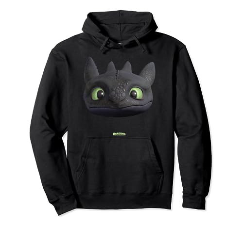 DreamWorks Dragons Toothless Night Fury Big Face Costume 3D Pullover Hoodie | Amazon (US)