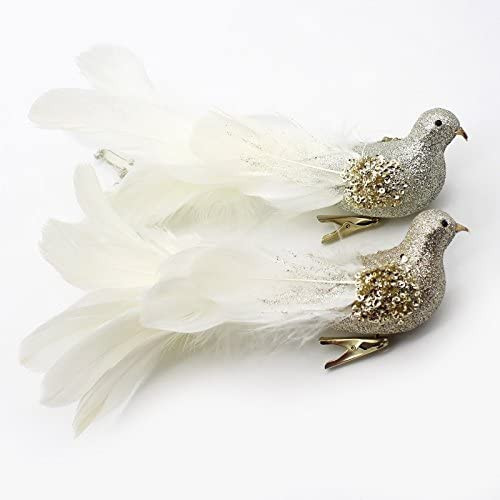 Yolococa Champagne Christmas Tree Decoration Birds,10x2x2 inches,2pcs | Amazon (US)