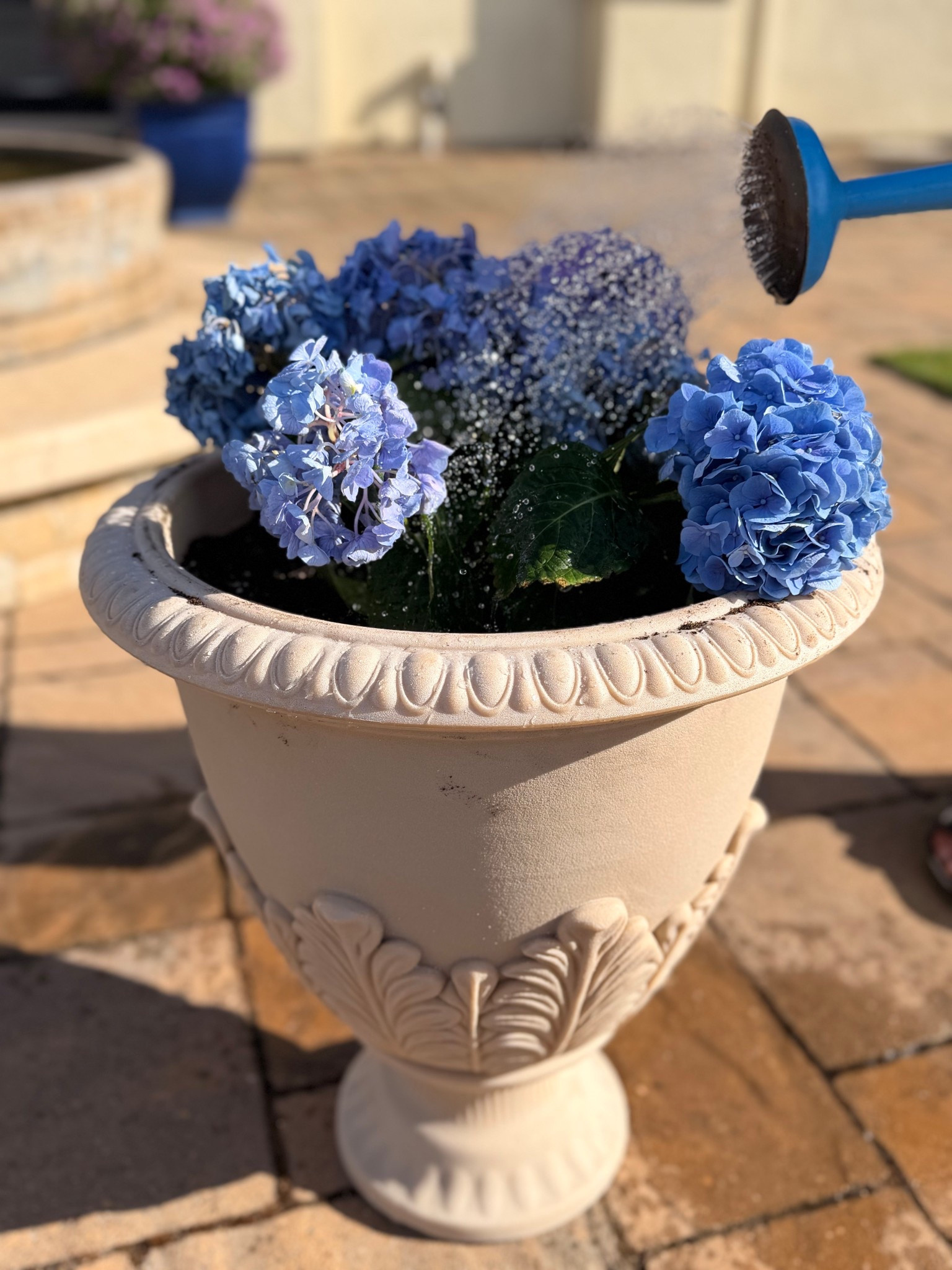 Gorgeous French pots

#LTKHome