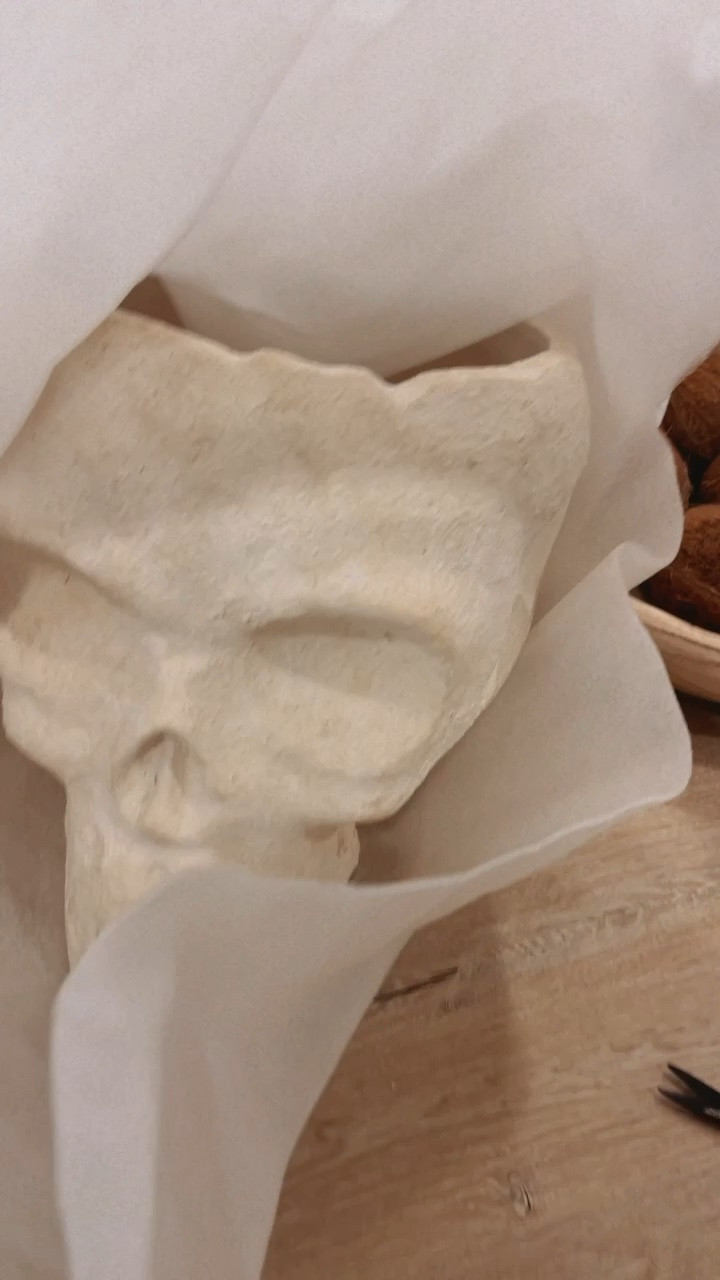 Halloween decor

#LTKhome #LTKSeasonal #LTKparties