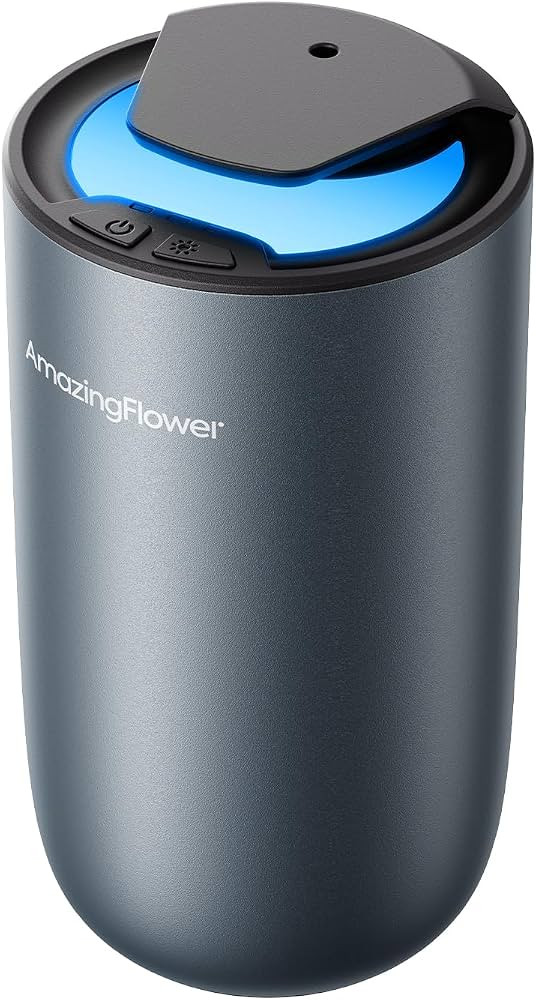 Waterless Car Diffuser for Essential Oil, Air Freshener Home Scent | Amazon (US)