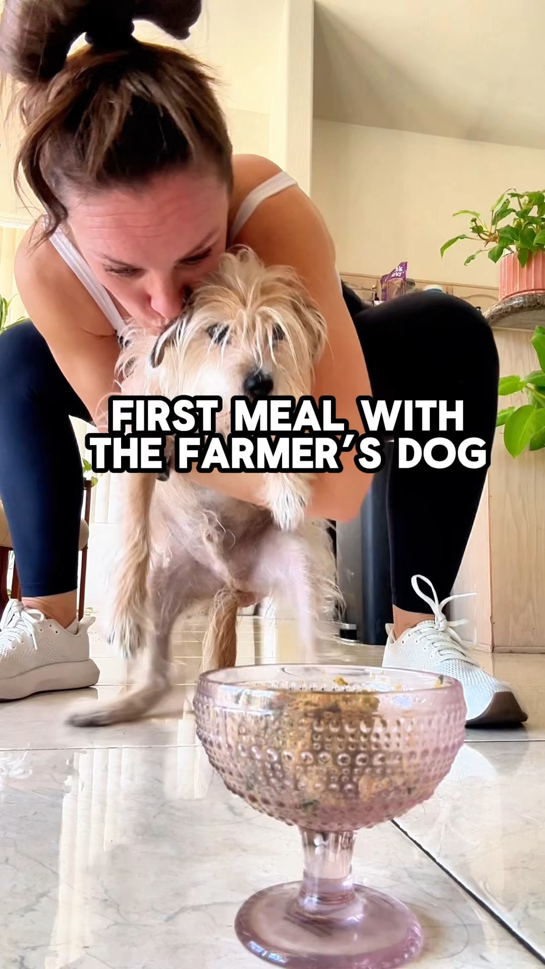 Healthy, cooked food for our dog has been something we’ve wanted to do for our dog for a while. We’re trying the Farmers dog #thefarmersdog #dogfood #dogs

#LTKmomlife #LTKdayinmylife