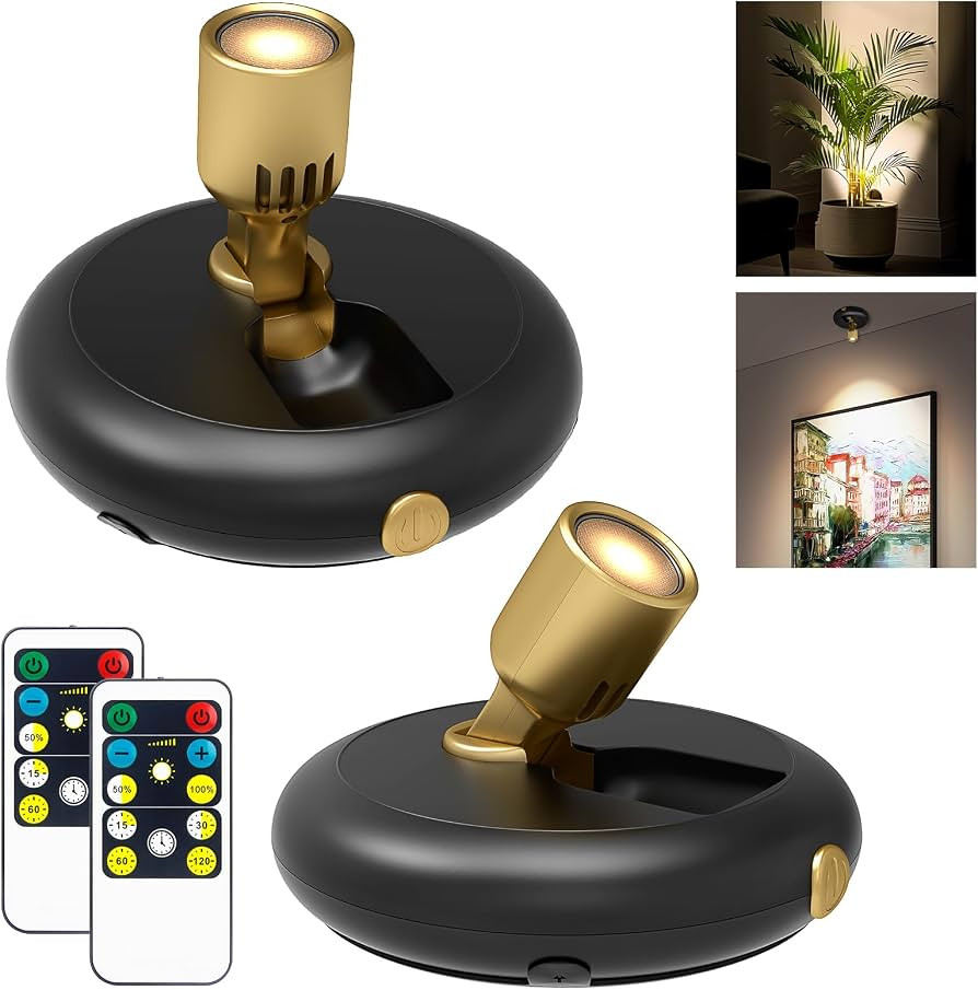 Indoor Plant Spotlight Battery Operated,Picture Light with Remote,Wall Painting Light,Wireless Up... | Amazon (US)