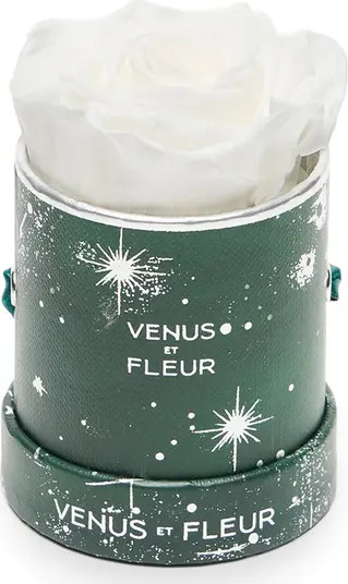 Mini Round Holiday Zodiac White Eternity Rose® | Nordstrom