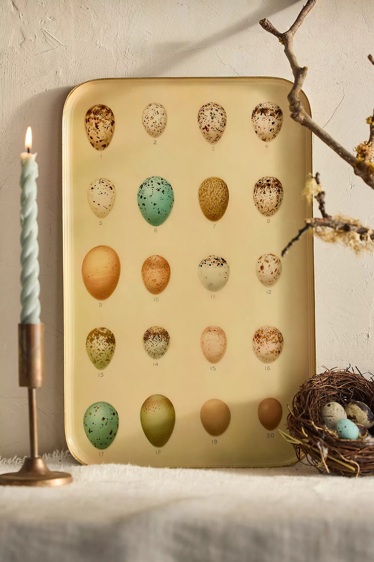 Printed Archival Tray, Large | Terrain