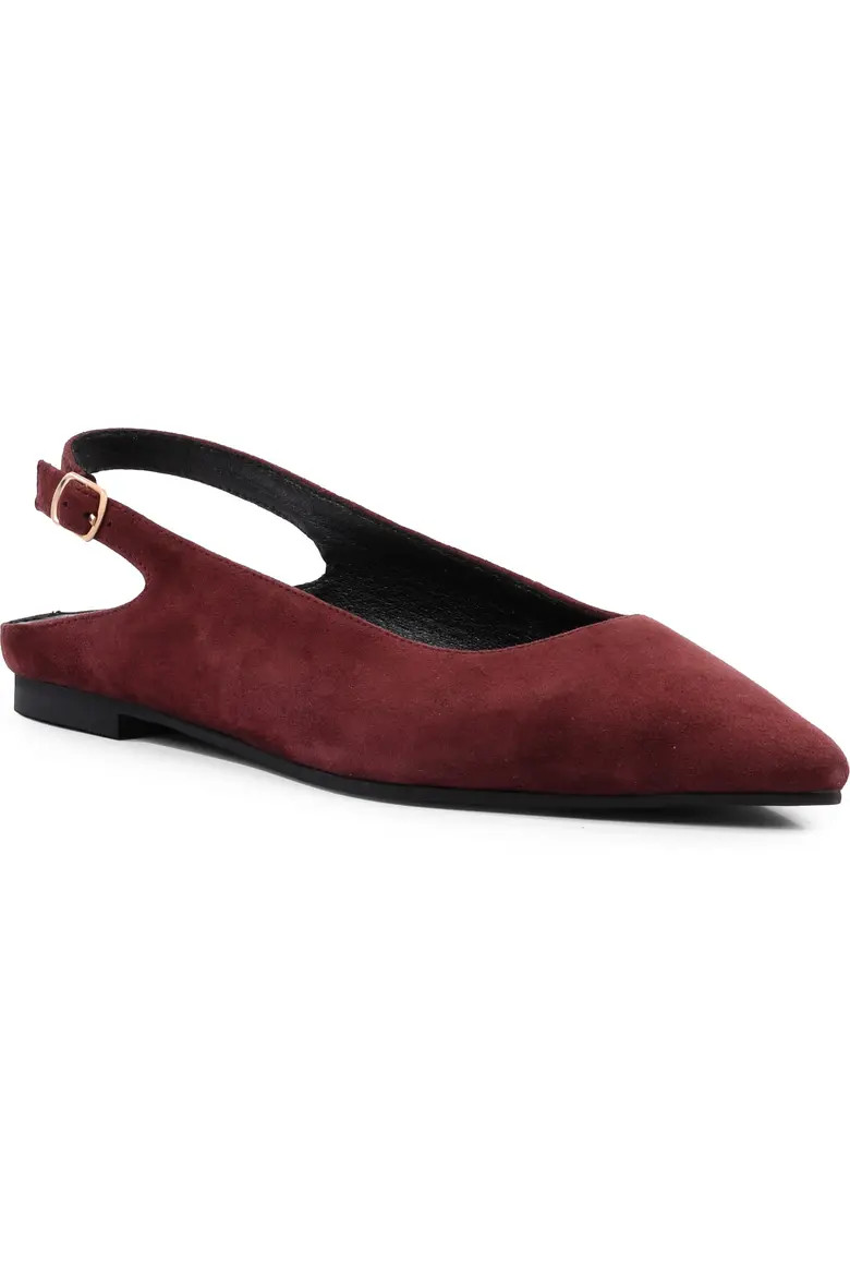 Seychelles Alameda Pointed Toe Slingback Flat (Women) | Nordstrom | Nordstrom