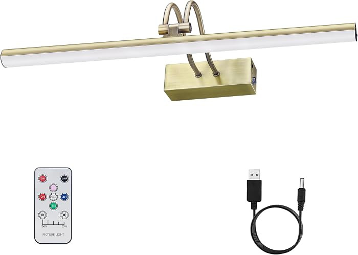 Picture Light, Cordless Picture Lights for Wall, 20inch Dimmable Picture Lights with Timer, 5000m... | Amazon (US)