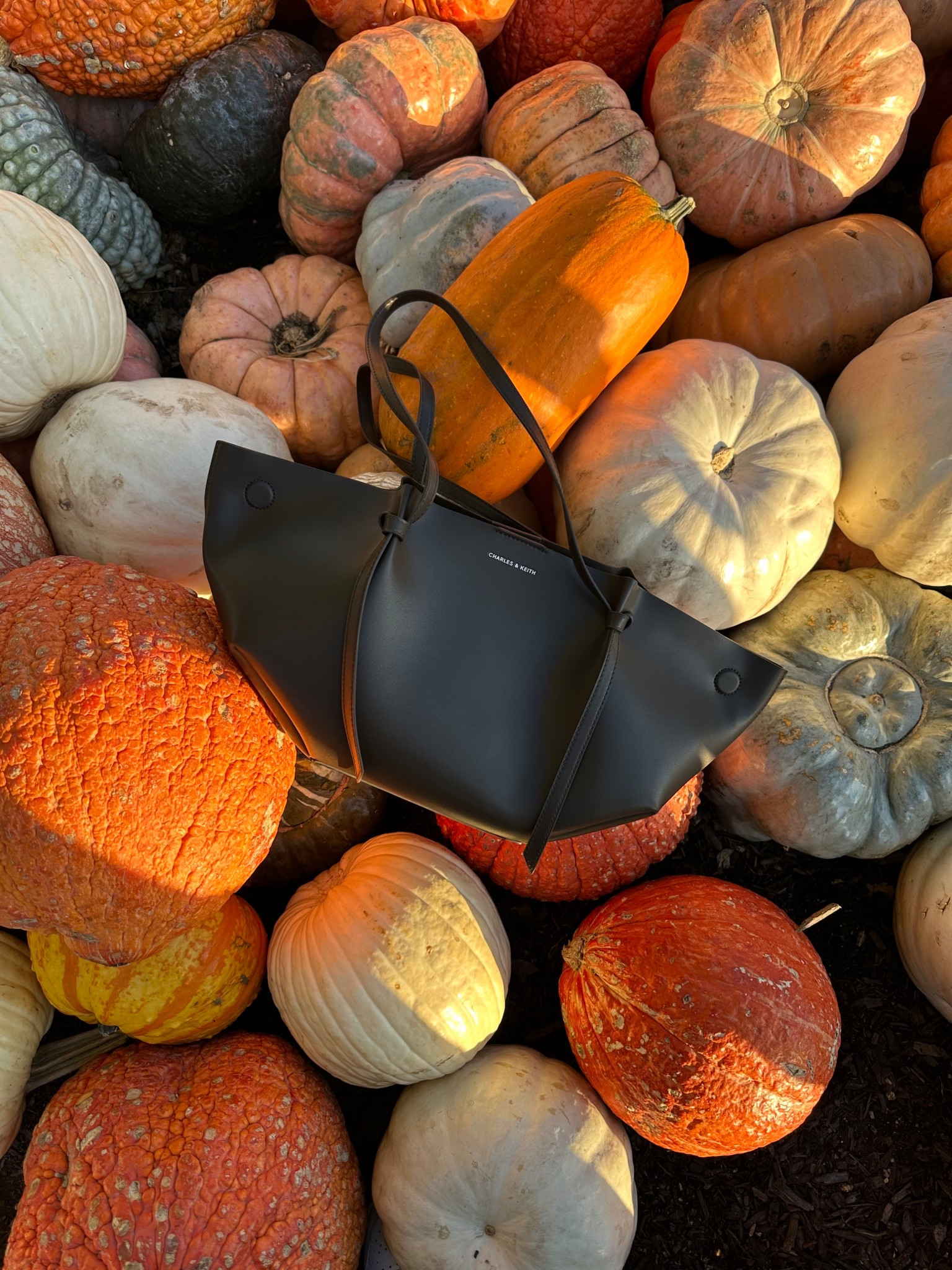 the perfect fall bag


#LTKSeasonal #LTKItBag #LTKStyleTip