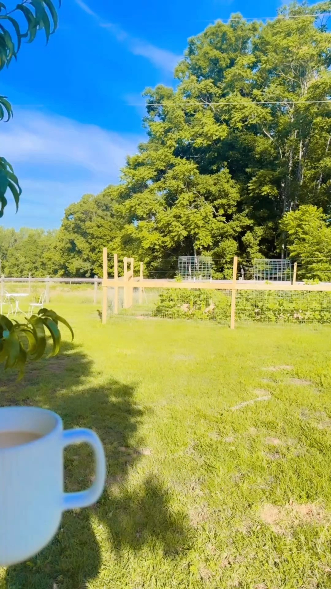 And my morning coffee ☕️ view with the new garden 🪴 bistro table and chairs 🪑 was just as dreamy as I had hoped… 😍