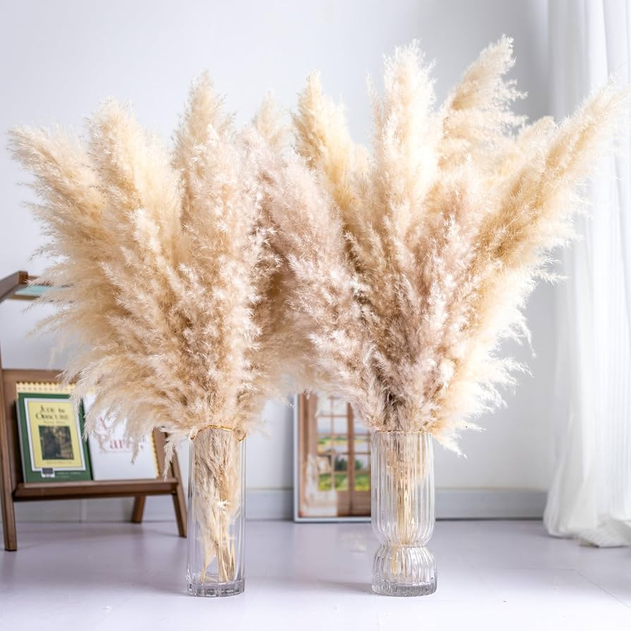 Tall Pampas Grass 10PCS Boho Decor Natural Home Decor Phragmites Dried Flowers Bouquet for Weddin... | Amazon (US)