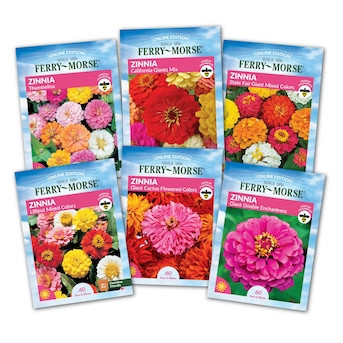 Ferry-Morse Ferry Morse Zinnia Flowers Top Sellers Seed Variety Pack 6 Pack | Lowe's