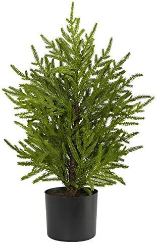 Nearly Natural 2ft. Norfolk Island Pine Natural Look Artificial Tree in Decorative Planter | Amazon (US)