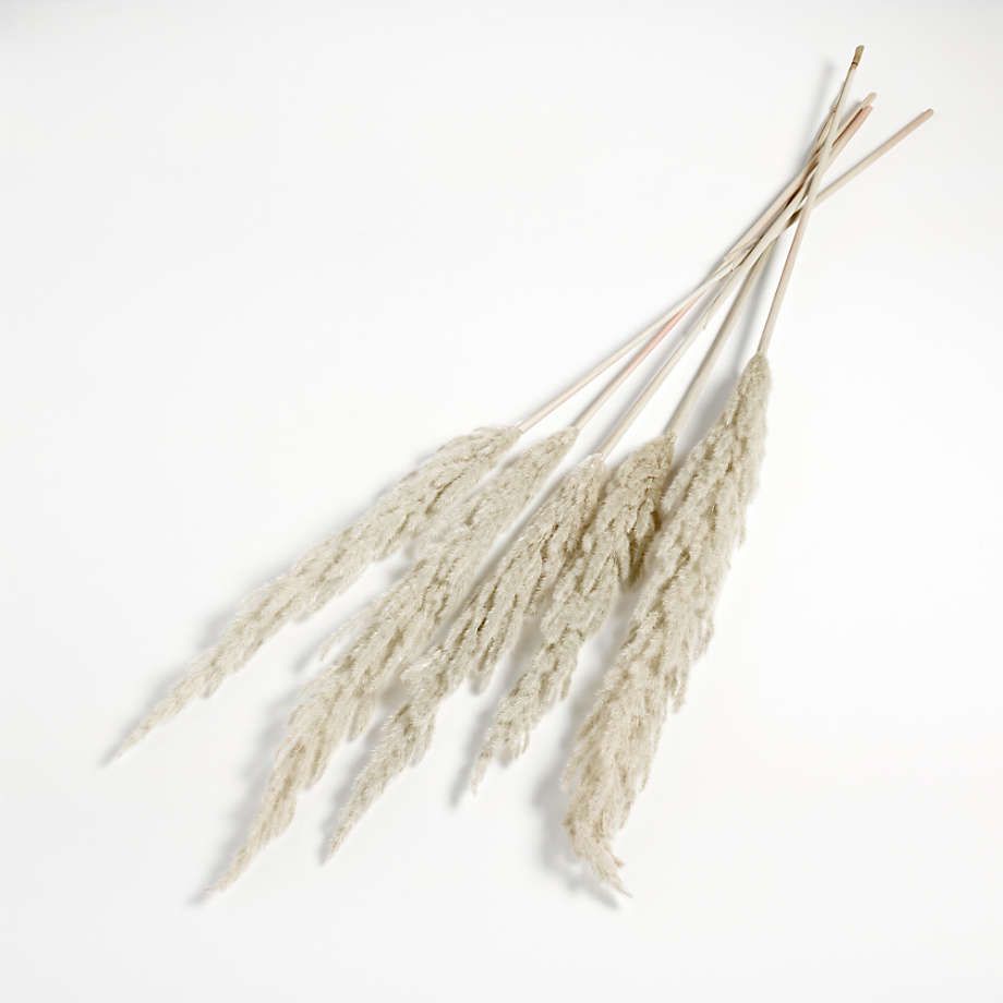 Dried Grass Plume + Reviews | Crate and Barrel | Crate & Barrel