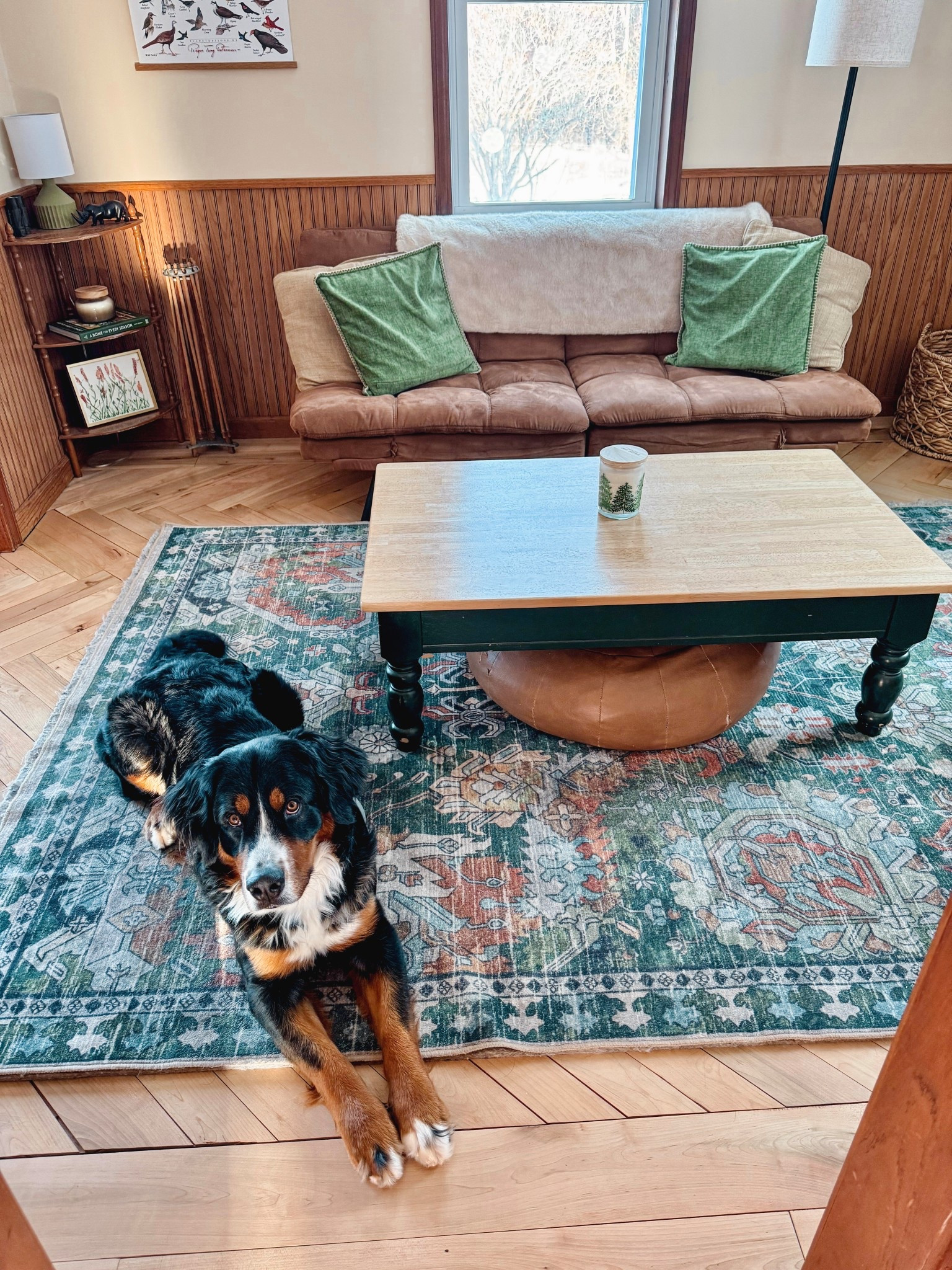 Cutest little pup in the den 🤎


Linked what I could and similar for what’s older/thrifted!

#LTKdayinmylife #LTKFindsUnder100 #LTKHome