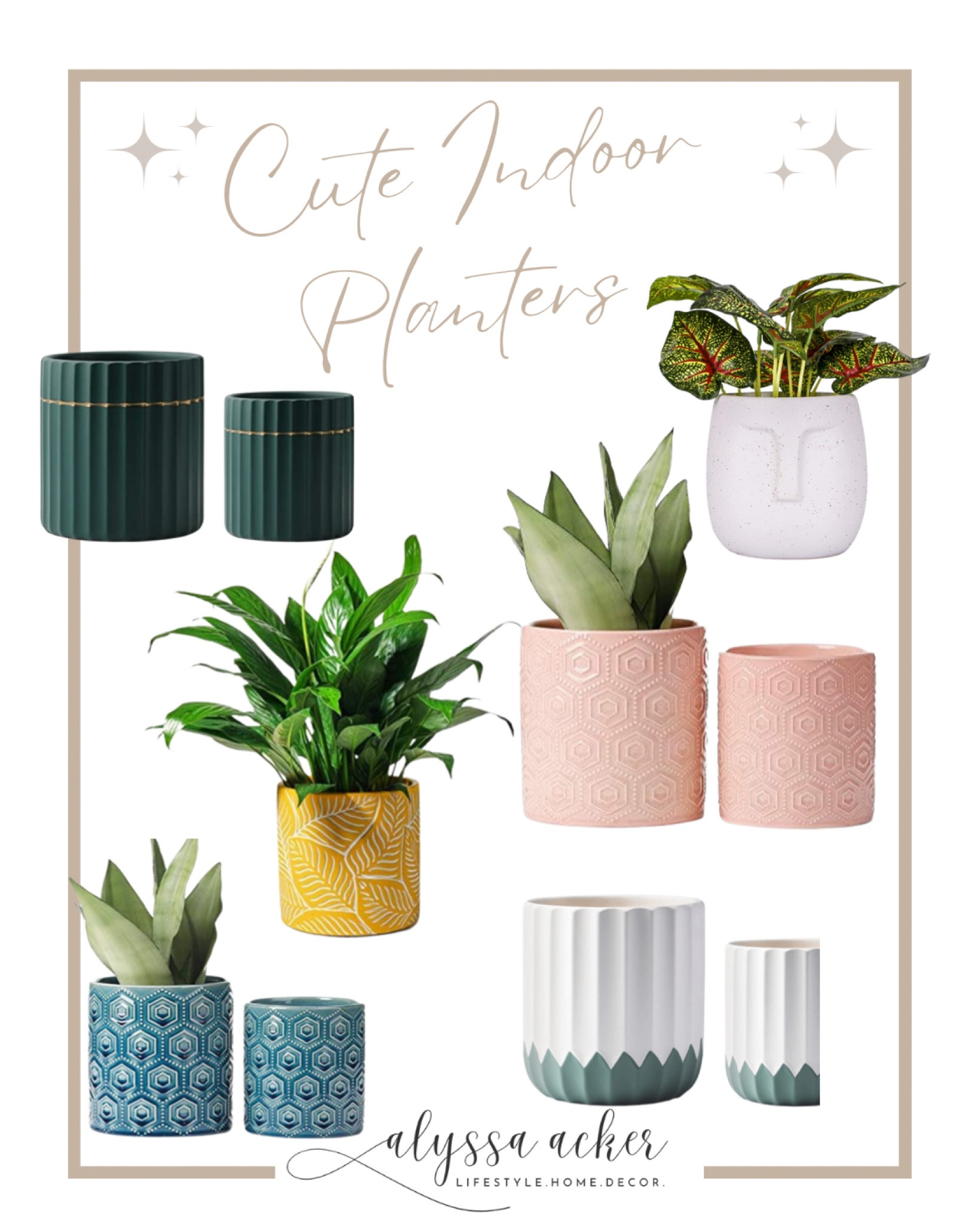 Adorable small Indoor planters!

#LTKstyletip #LTKSeasonal #LTKhome