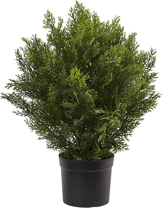 Nearly Natural 2 ft Artificial Cedar Bush, Indoor Outdoor Plant with Pot | Amazon (US)
