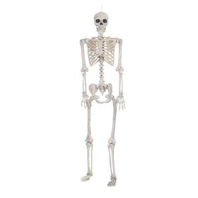 Lifesize Posable Halloween Skeleton - Hyde and Eek! Boutique™ | Target