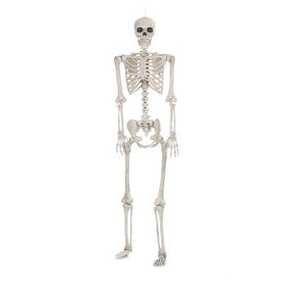 Lifesize Posable Halloween Skeleton - Hyde and Eek! Boutique™ | Target