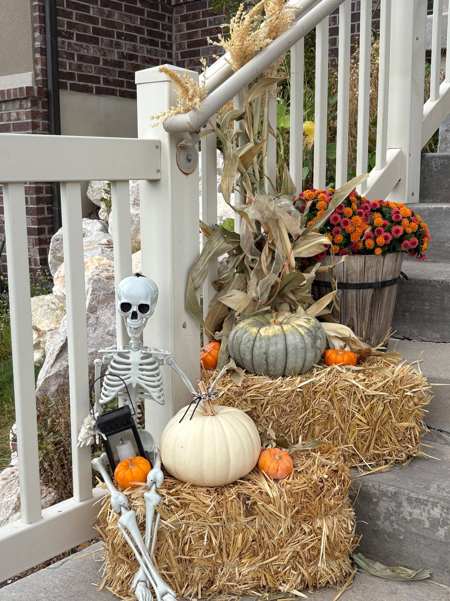 Skeletons, corn stalks and mums the perfect fall porch combo! 

#LTKHome #LTKStyleTip #LTKSeasonal