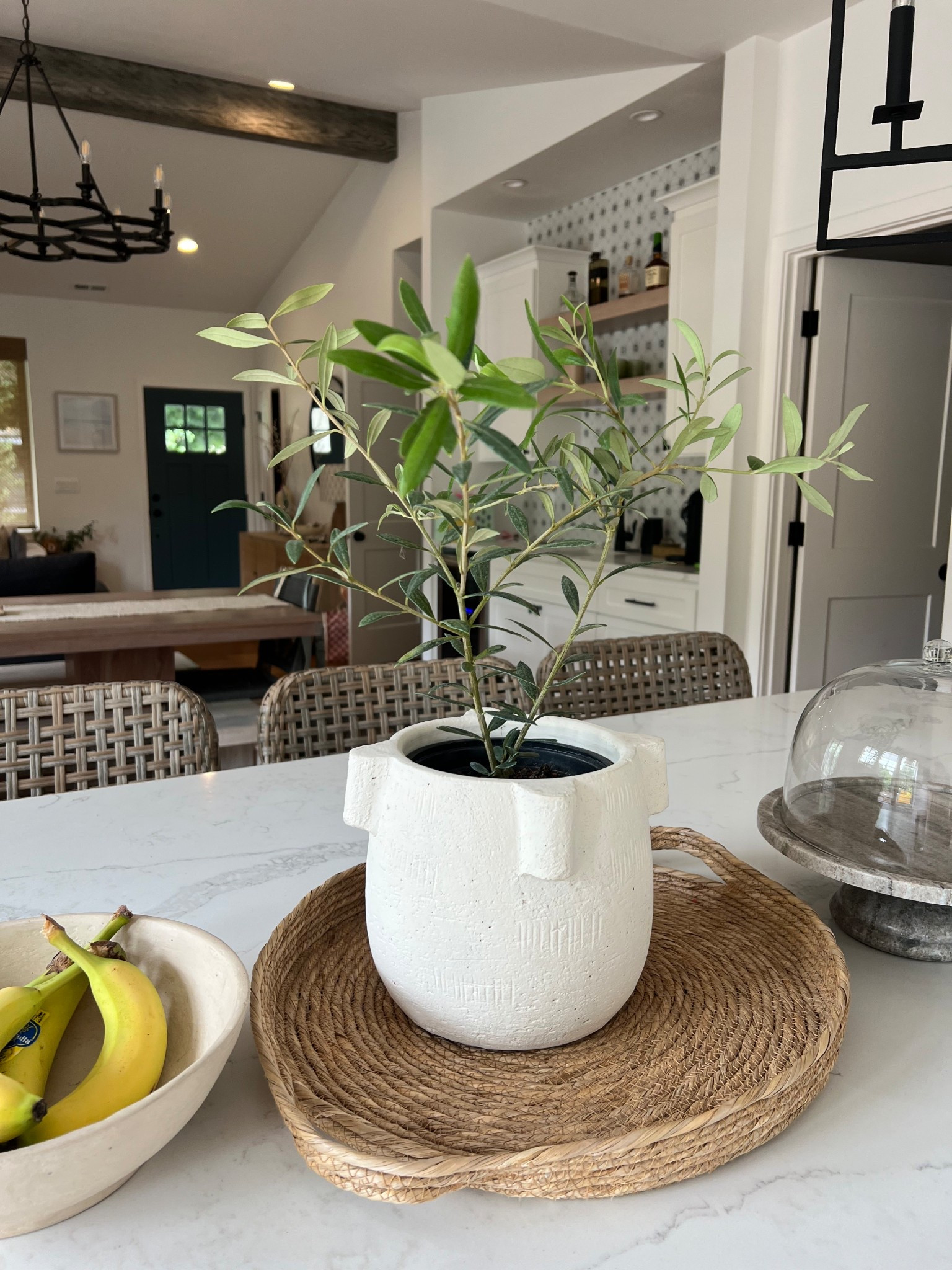 Cutest little olive tree from Trader Joe’s! This plantar is old but I linked a bunch of similar options. FYI: plant diameter is about 6” so unless you remove it from the plastic pot, you’ll want to size up the planter slightly 

#LTKHome #LTKSeasonal