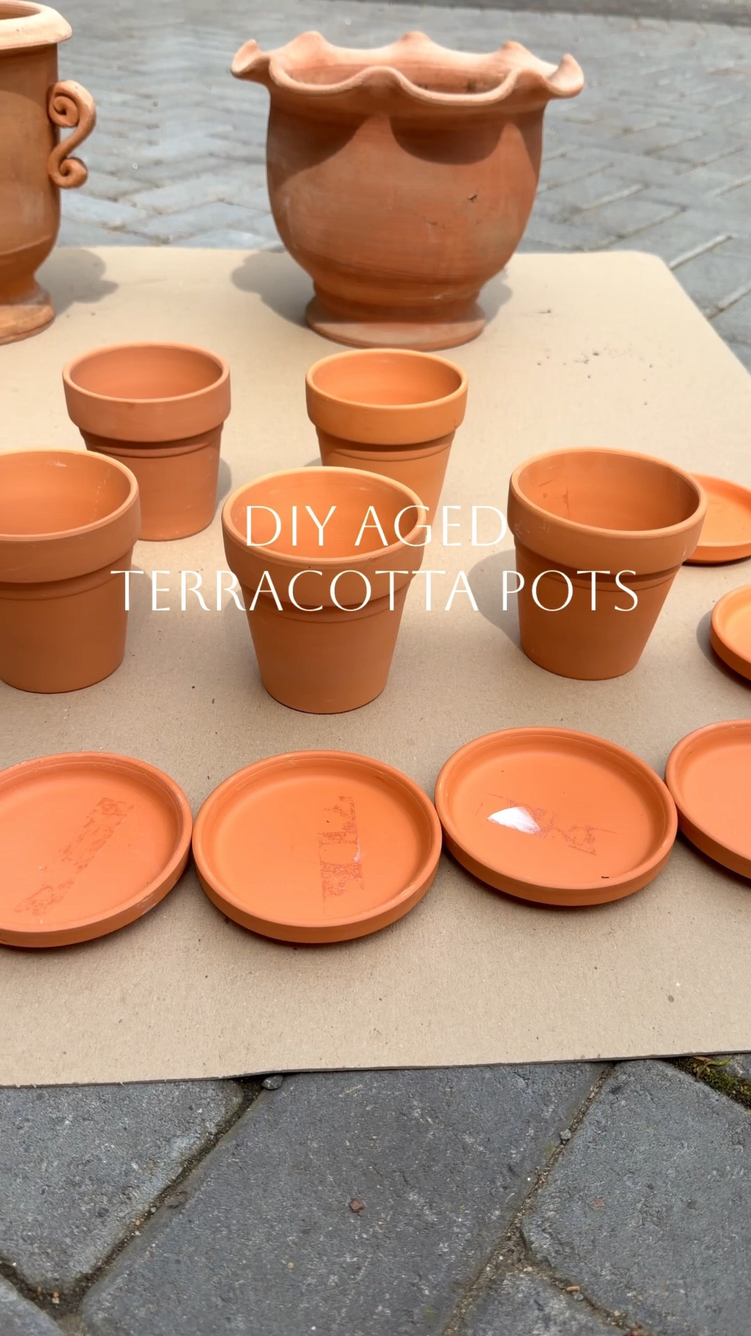 A little lime + time = instant vintage charm 🤍
Gave these terracotta pots that perfectly aged, European garden look… without the wait ✨

Aged Terracotta Pots (Quick Steps)

1. Clean + dry pot
2. Mix 2:1 water + garden lime
3. Brush on lightly (uneven = better)
4. Let dry 30–60 min
5. Layer in random spots for texture
6. Optional: rub crushed leaves for mossy look
7. Dry overnight

#LTKHome #LTKSaleAlert
