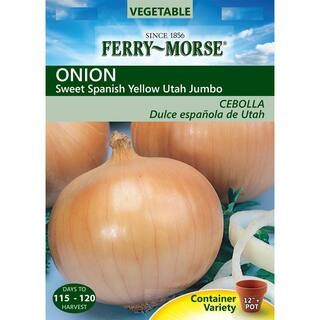 Onion Sweet Spanish Yellow Utah Jumbo Seed | The Home Depot