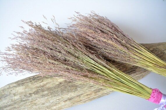 2 Bunch Meadow Grass  Natural Dried Bunch Dried Flower - Etsy | Etsy (US)