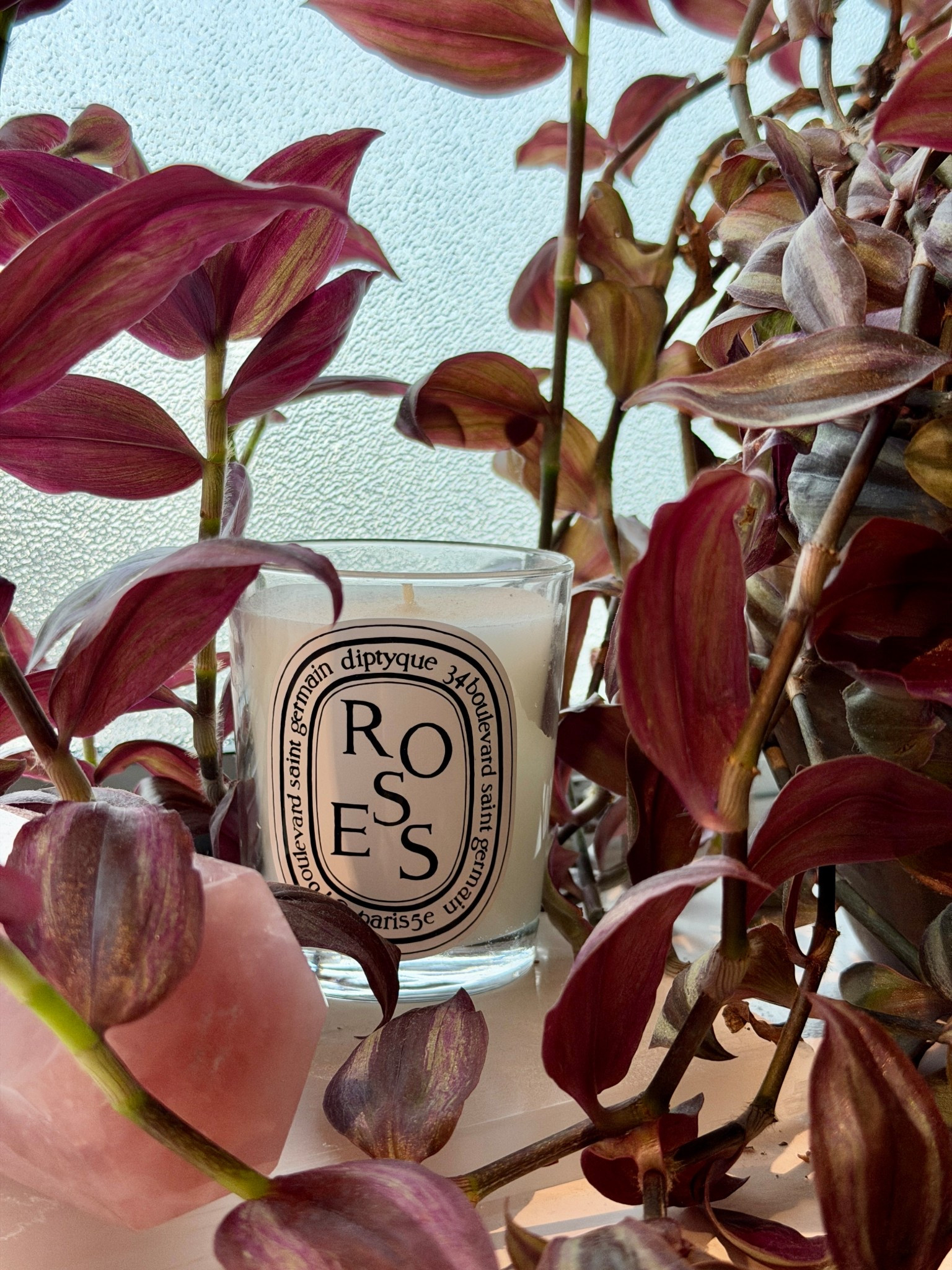 The Roses candle by Diptyque  

#LTKFindsUnder100 #LTKFindsUnder50 #LTKWedding