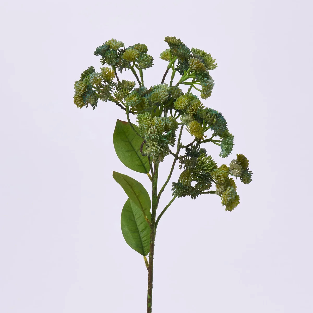 Real Touch Green Sedum Branch All Seasons Faux Greenery Spray - 23" | Darby Creek Trading