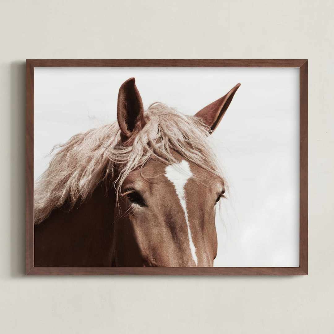 "Belgian Beauty" - Photography Limited Edition Art Print by Robin Ott. | Minted