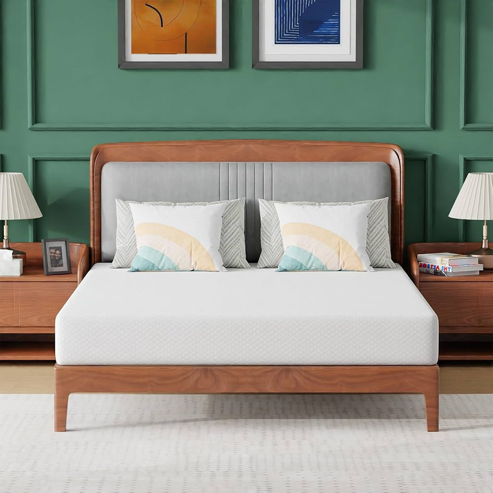 PayLessHere 8 Inch Queen Gel Memory Foam Mattress Fiberglass Free/CertiPUR-US Certified/Bed-in-a-... | Amazon (US)