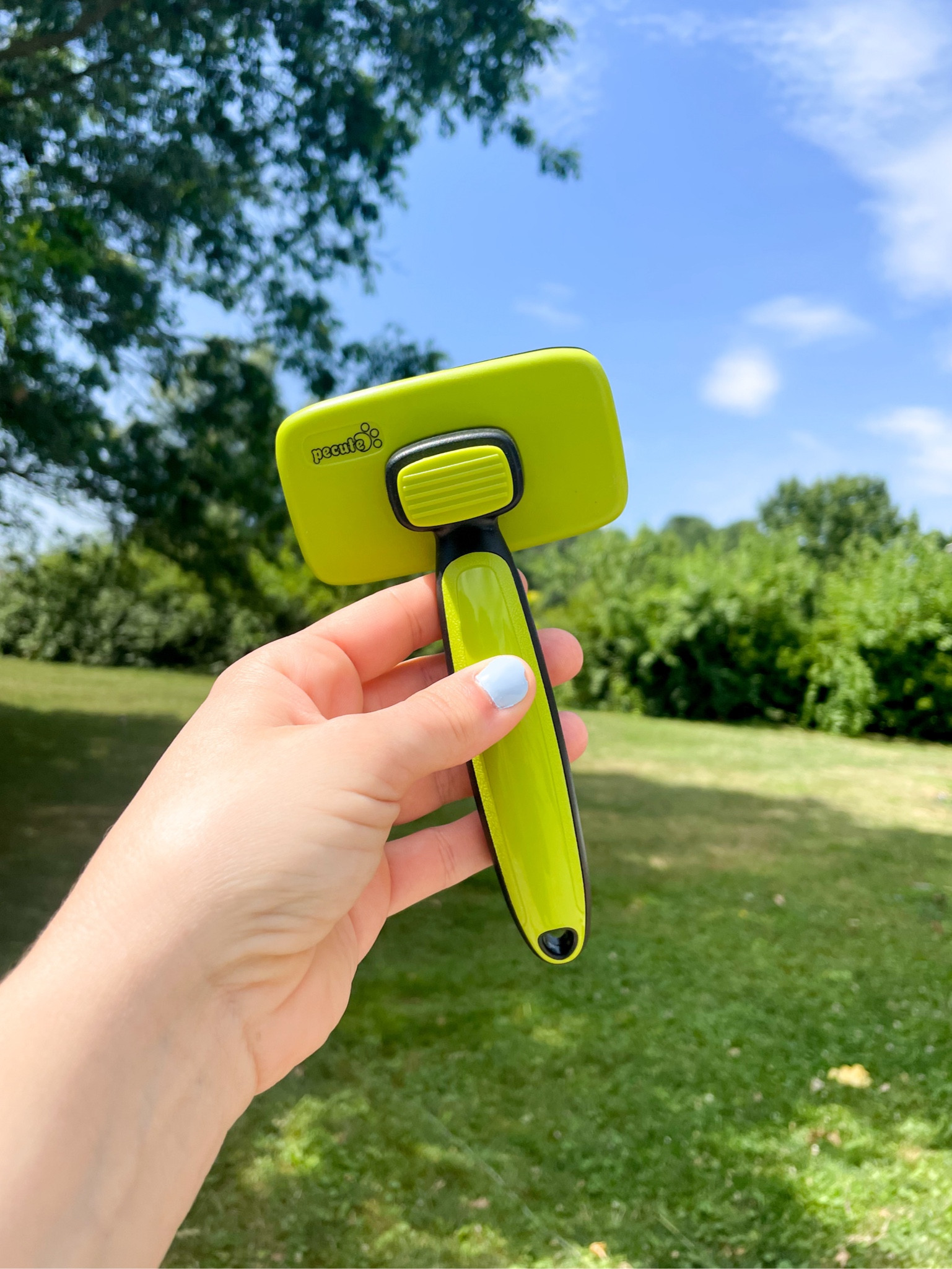 Do you have a fur baby? If you do then you absolutely need this brush! It’s affordable, easy to use and easy to clean!

This brush gently removes loose fur  undercoats! 

#LTKFamily #LTKFindsUnder50 #LTKSaleAlert