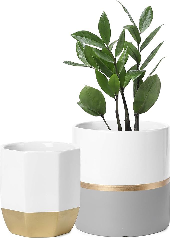 POTEY 052301 Ceramic Plant Pots Indoor Set of 2 - Modern Large Cylinder Planter + Medium Octagon ... | Amazon (US)