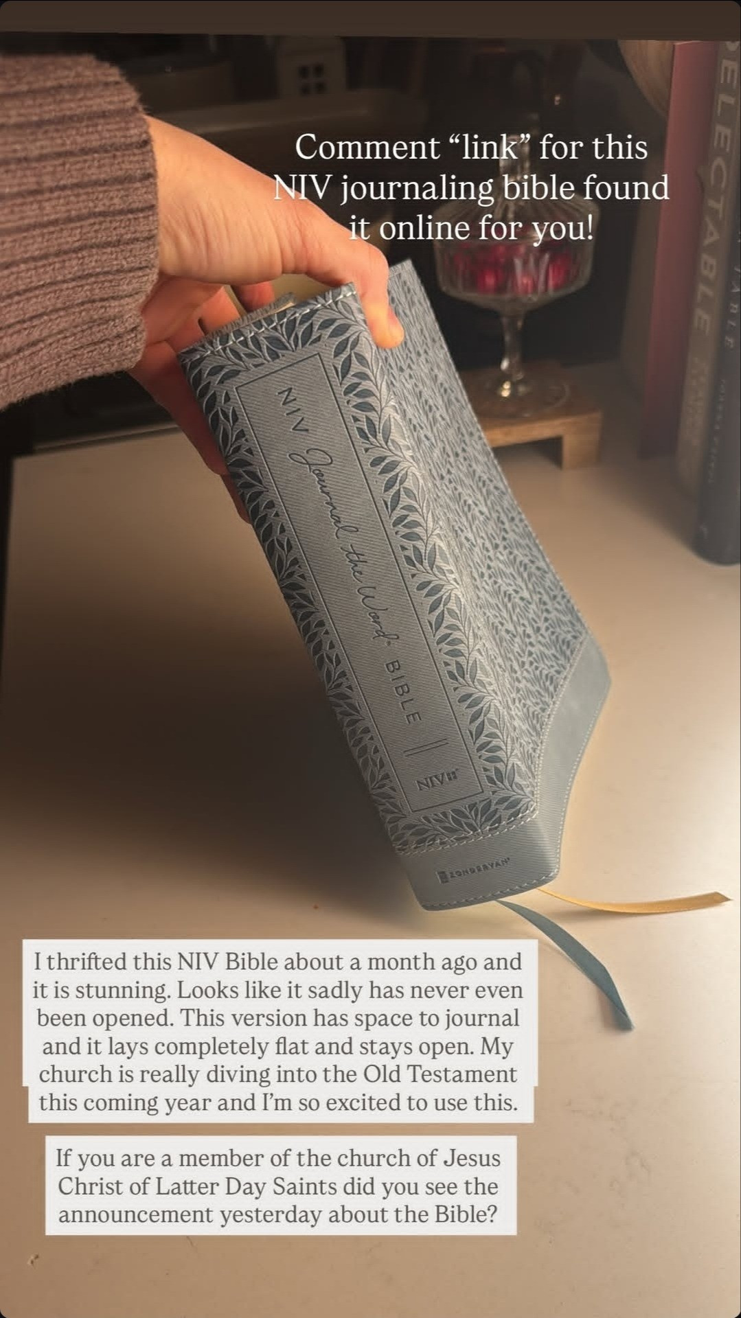 I am SO excited to start diving into studying with my new NIV Bible. I thrifted mine but found it on Amazon for you! It has the perfect space to journal as you study

#LTKFindsUnder50 #LTKdayinmylife