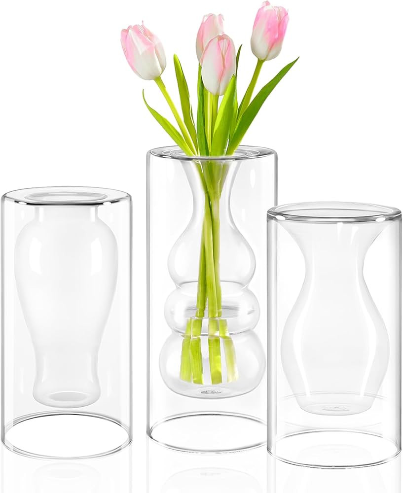 ZENS Unique Clear Small Flower Vase Set of 3, Modern Floating Decorative Vases, Double Hollow Coo... | Amazon (US)