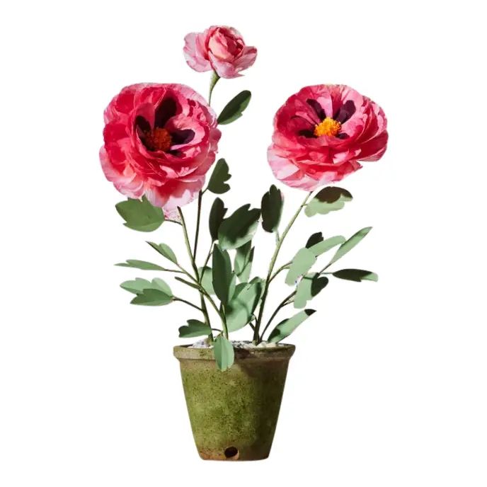 The Green Vase Peony Plant | Chairish