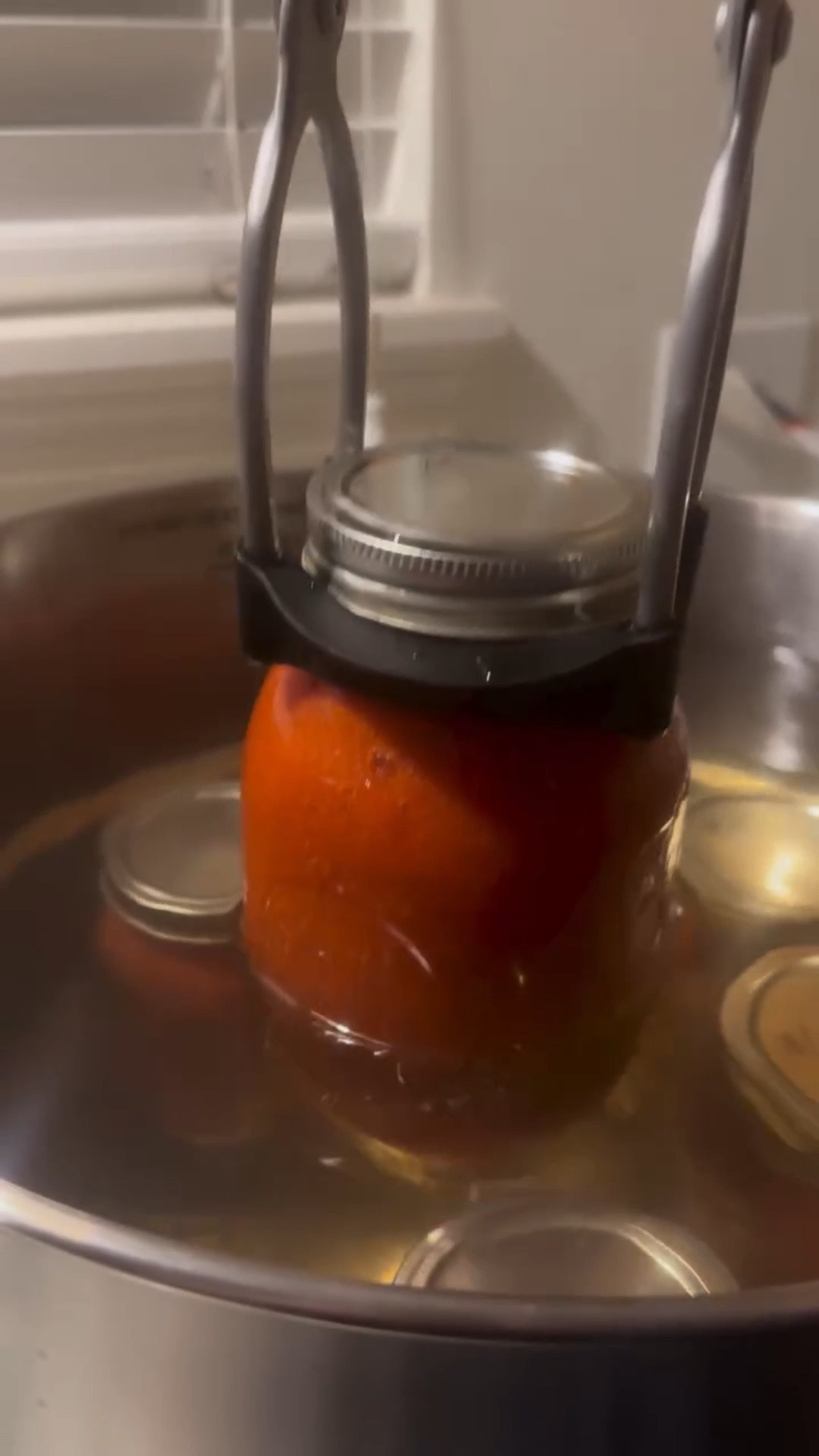 The summer I began preserving food 🍅 

I’m new to canning and freeze drying (we have started doing both in our home) after we became so tired of the crap put into food at the grocery stores. I wasn’t taught how to do canning, so I’m really loving my water bath canner! It has sensors to truly “set it and forget it” and it takes a lot of the scary parts out by automating the process. This is our marinara sauce we made following the Ball recipe ❤️

#LTKFamily #LTKHome #LTKOver40
